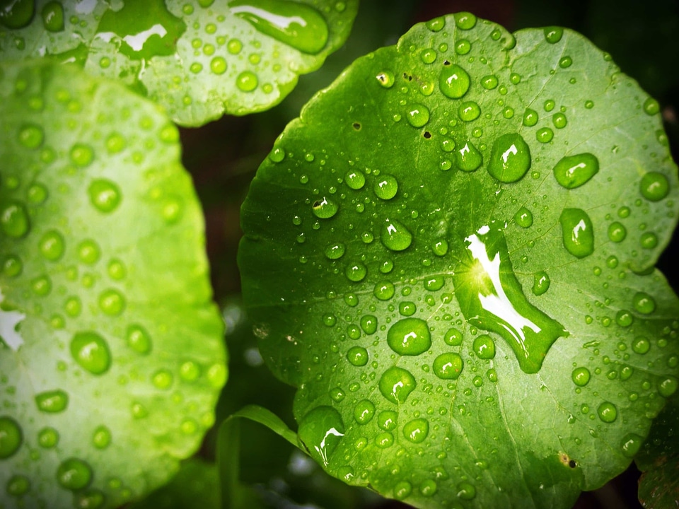 Beautiful beautiful photo condensation