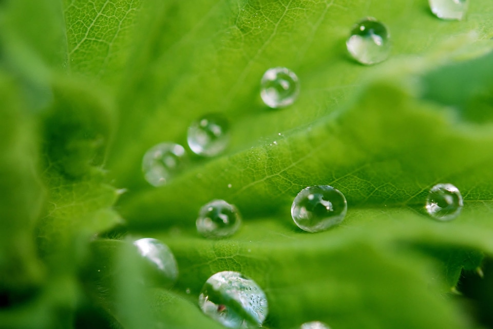 Beautiful beautiful photo condensation