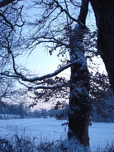 Snow dusk sonnenunetrgang