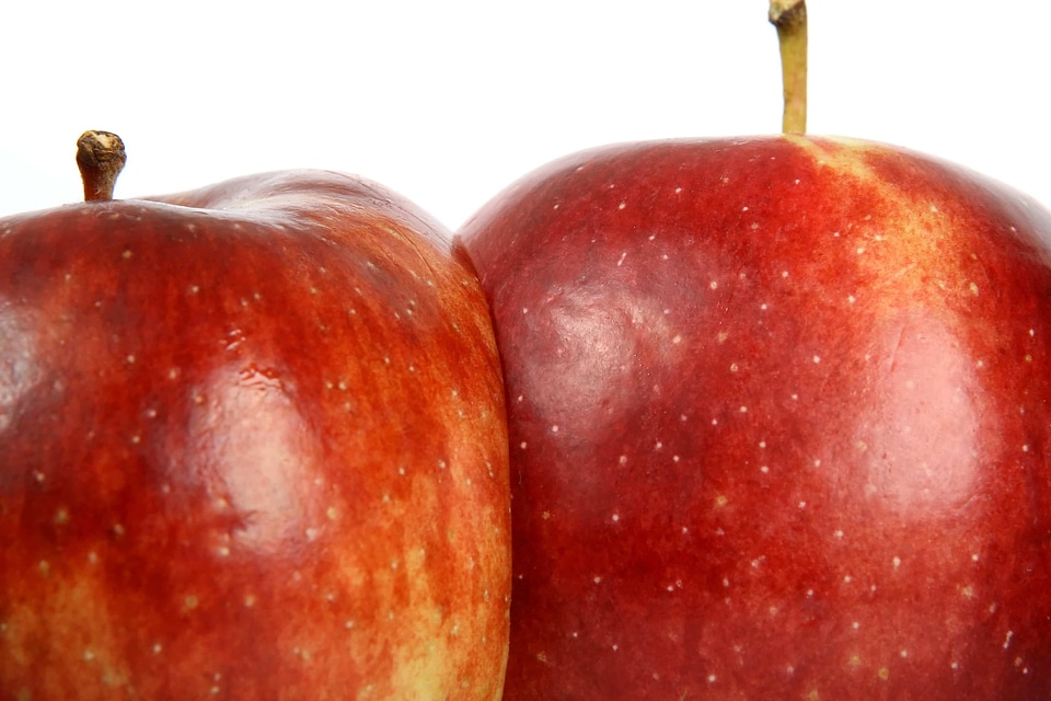 Apple apples beautiful photo