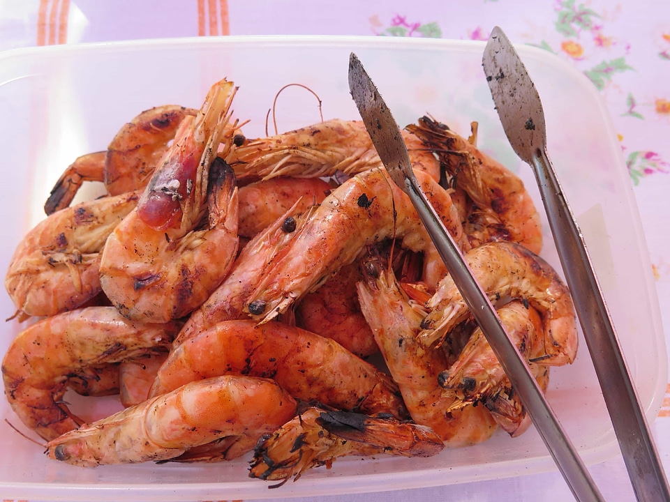 Animal arthropod barbecue