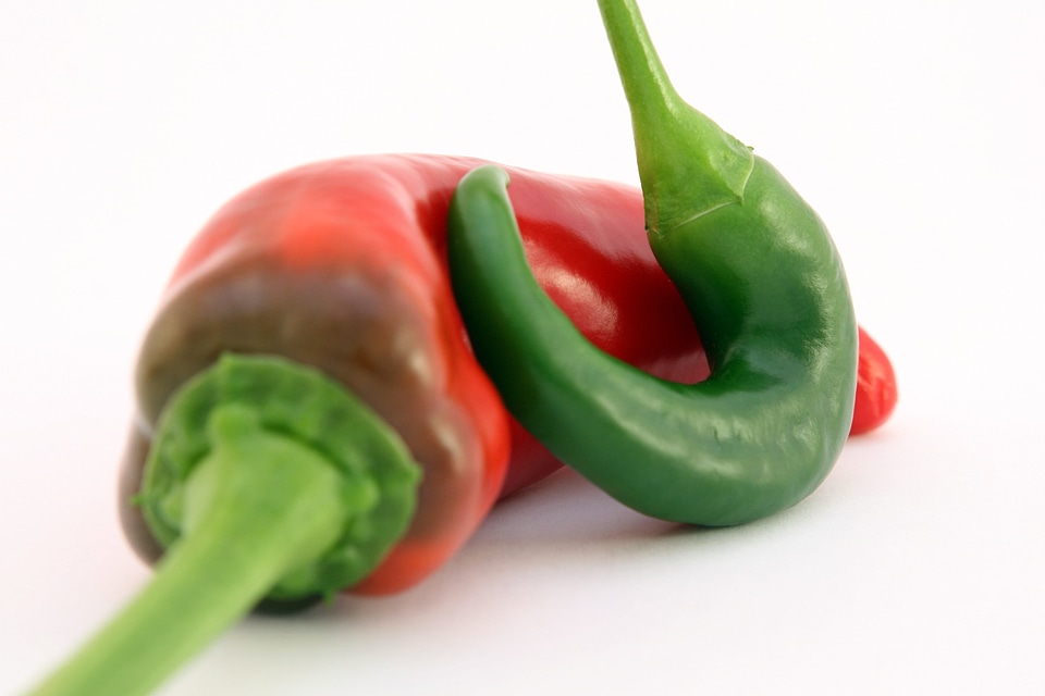 Beautiful Photo bell bell pepper