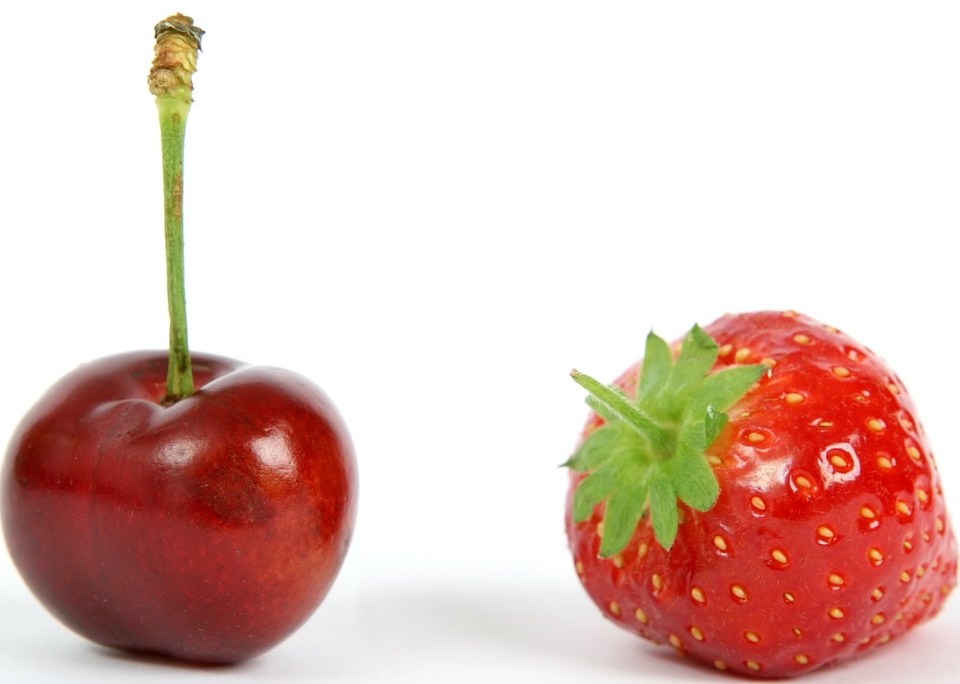 Beautiful Photo berry calorie