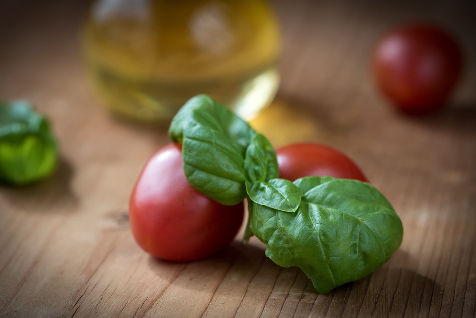 Basil beautiful photo calorie