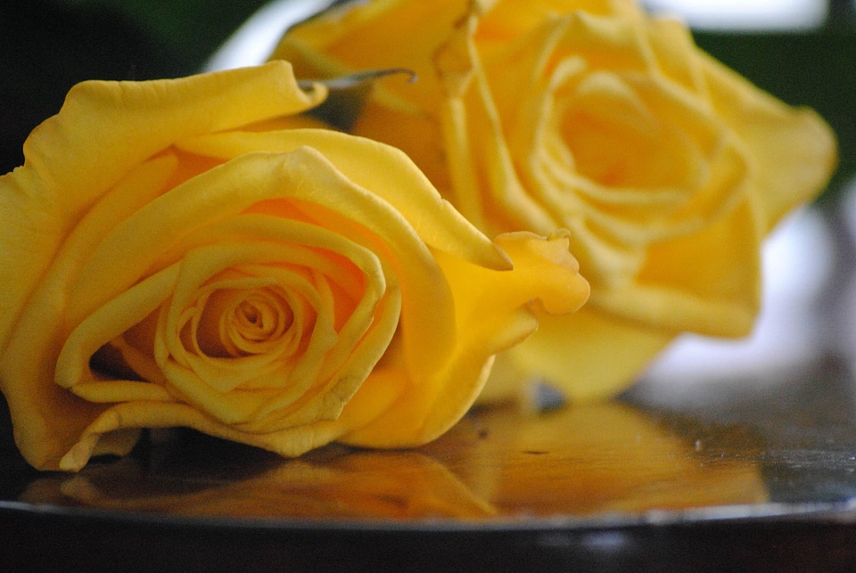 Affection arrangement beautiful flowers