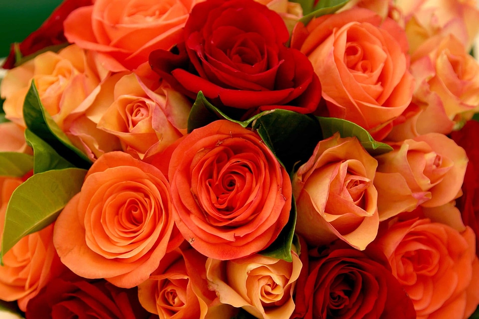 Affection arrangement beautiful