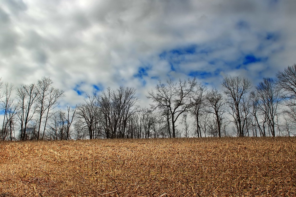 Agriculture atmosphere autumn