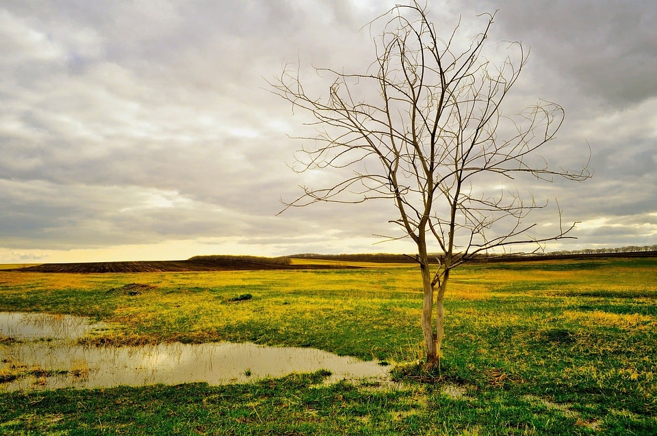 Agriculture atmosphere cloud
