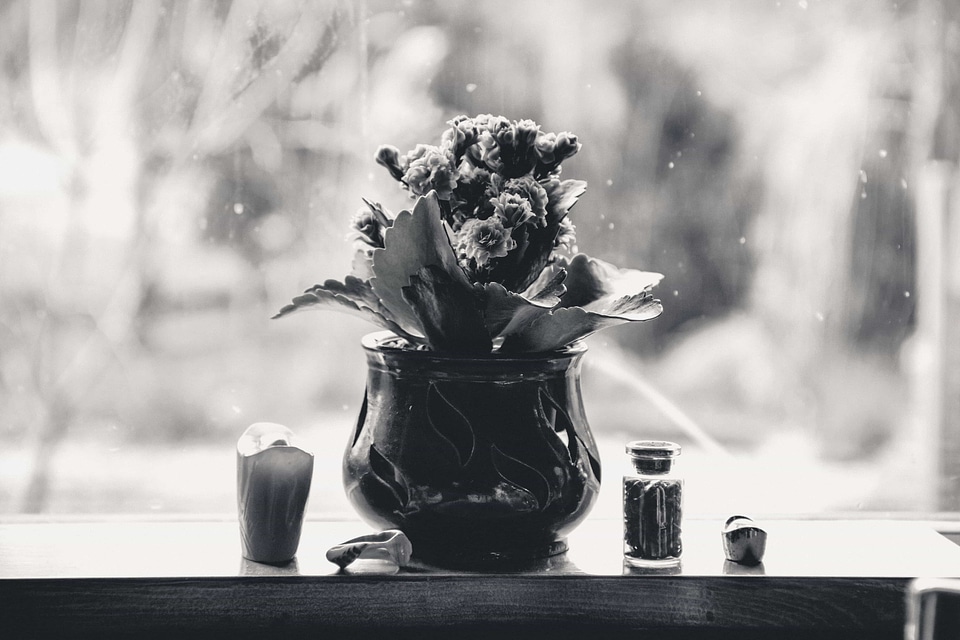 Beautiful Flowers black black and white