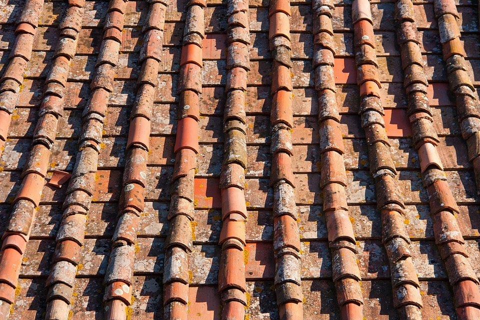 Architectural Style architecture brown
