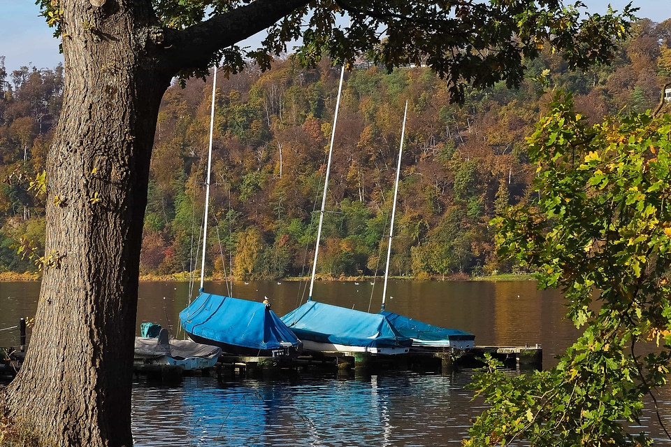 Boat cloud ecology