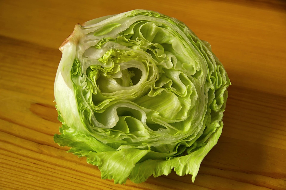 Beautiful Photo cabbage calorie
