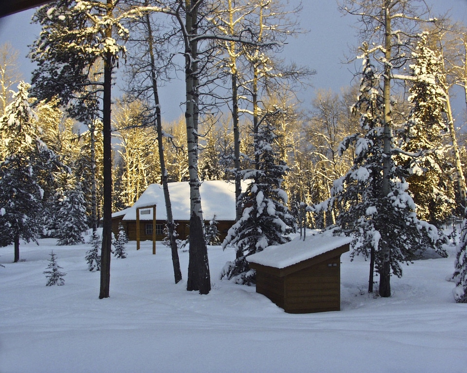 Beautiful winter season