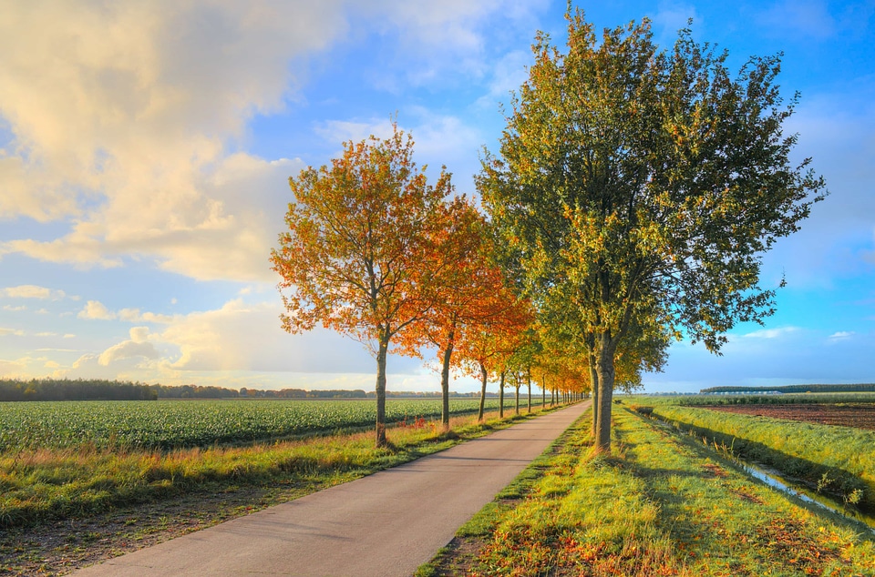 Autumn autumn season blue sky