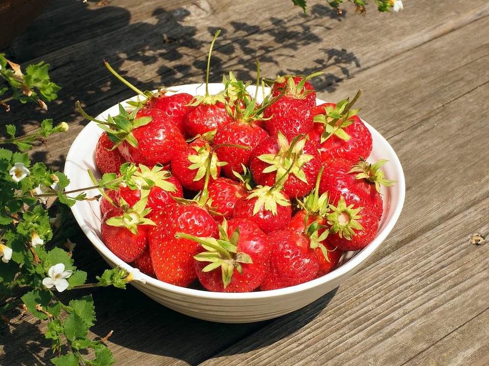 Berry bowl calorie
