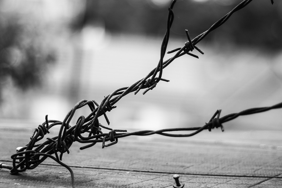 Barbed Wire black black and white