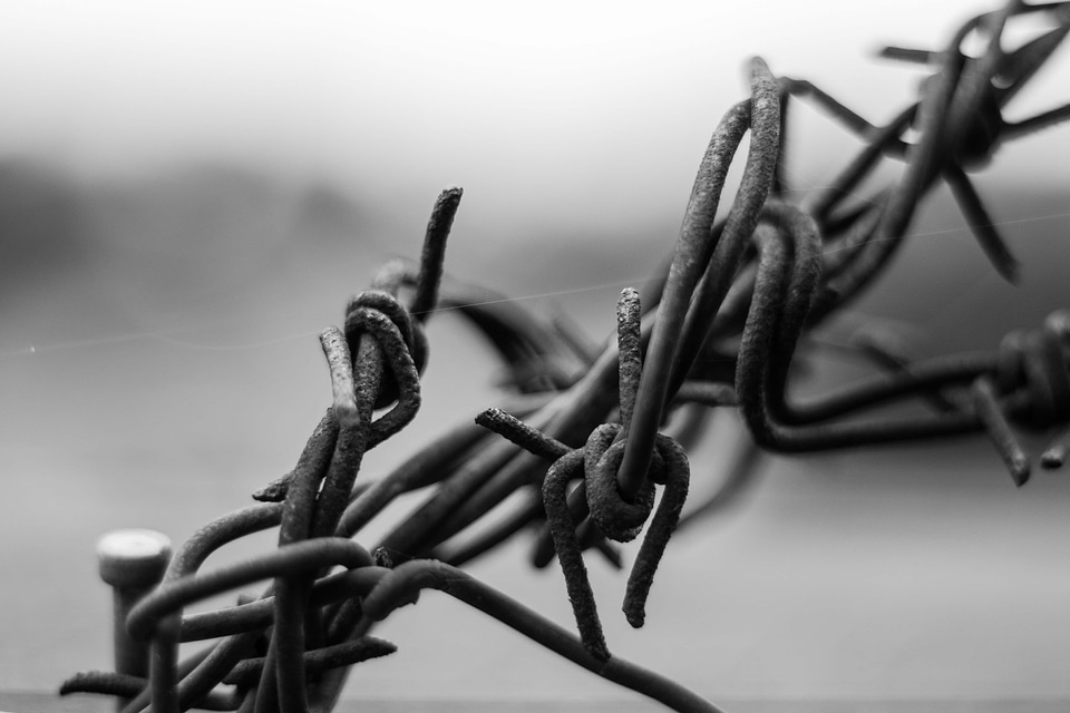 Barbed Wire black black and white photo