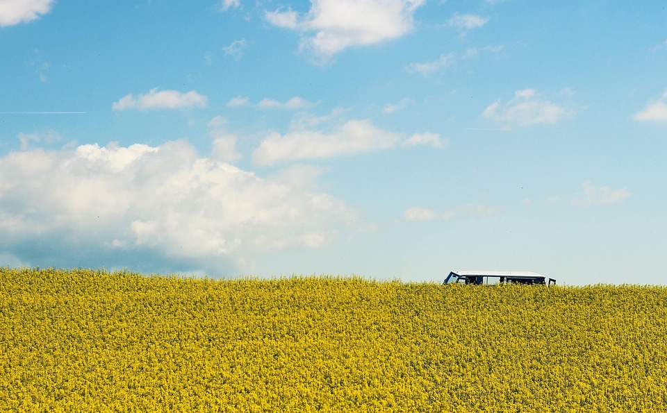 Agriculture blue sky cloud