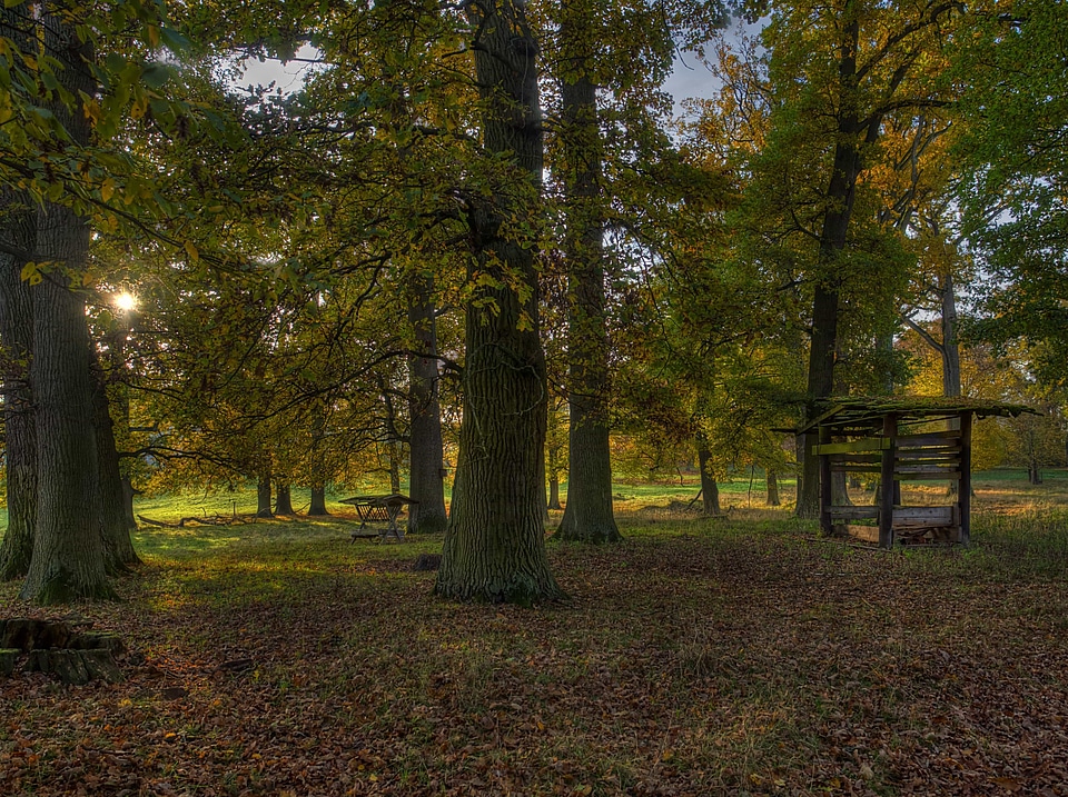 Autumn autumn season bench
