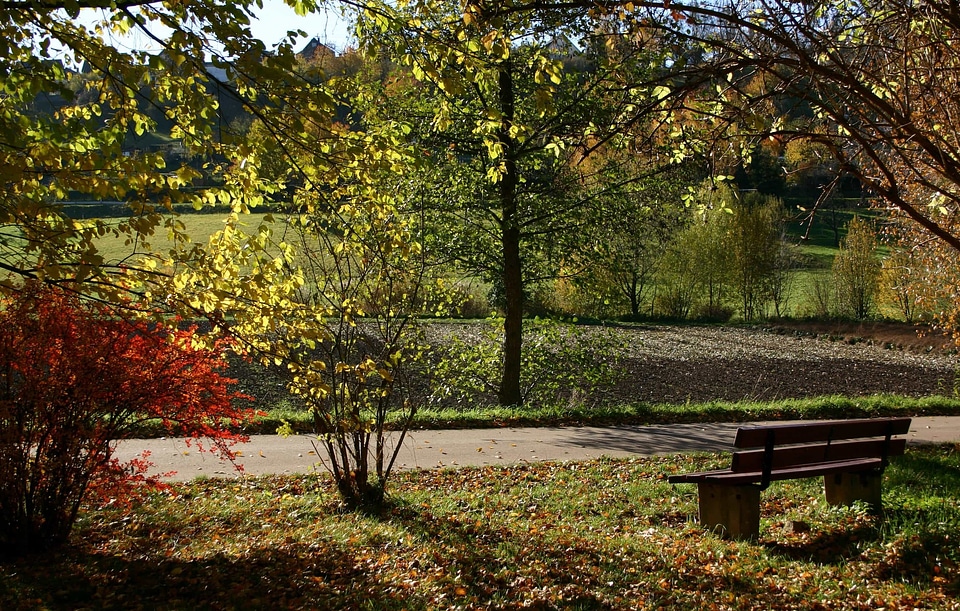Autumn autumn season bench
