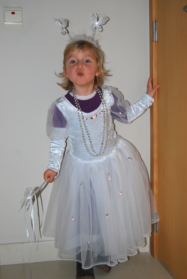 Princess fairy people