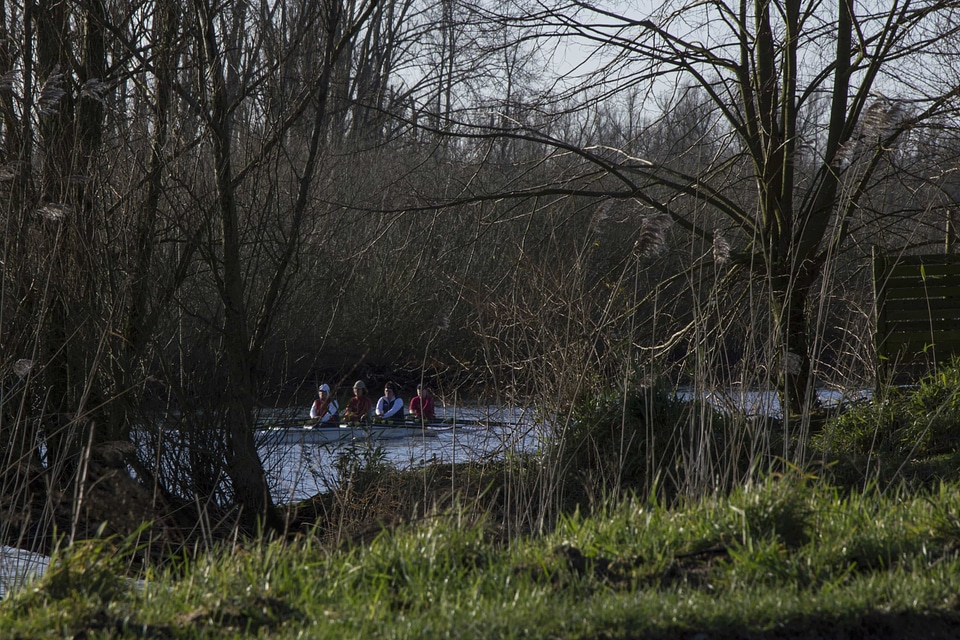 Autumn branch canoe