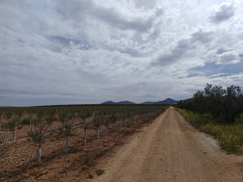 Agriculture ascent cloud