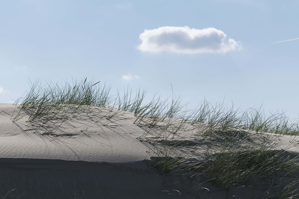 Beach beautiful cloud