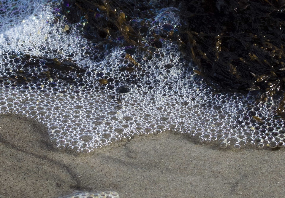 Beach bubble coast