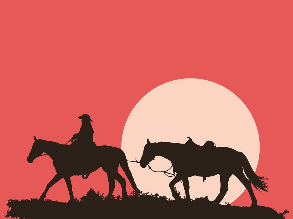 Animal cavalry cowboy