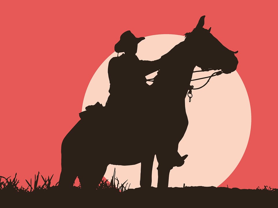 Animal cavalry cowboy