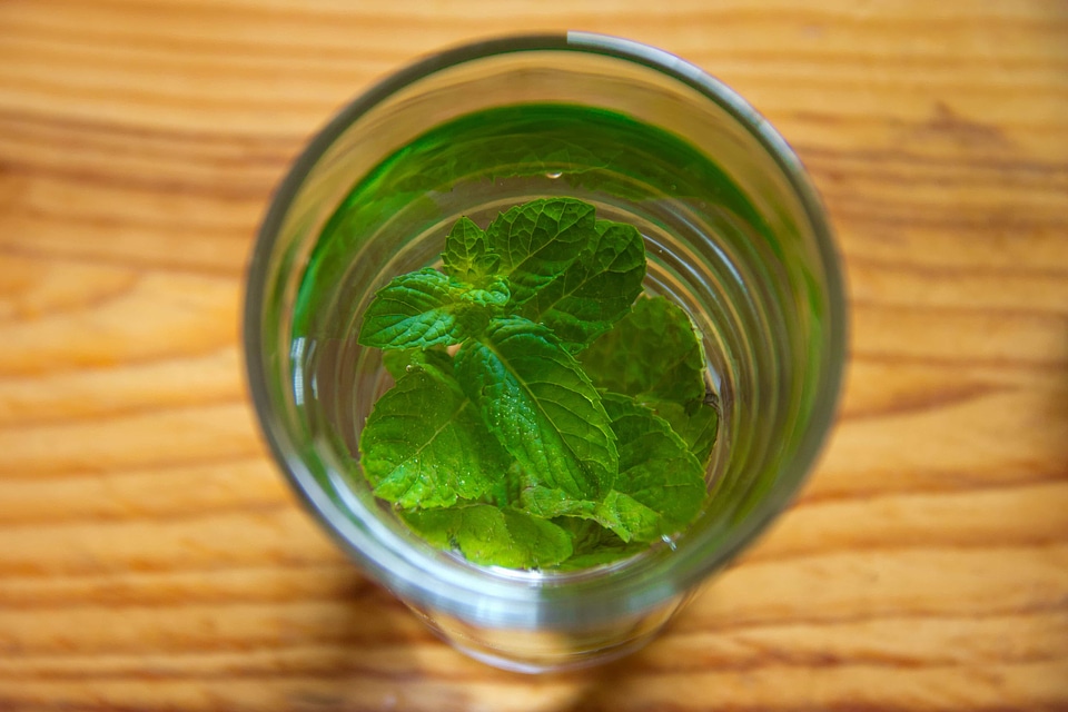 Beautiful Photo diet drink