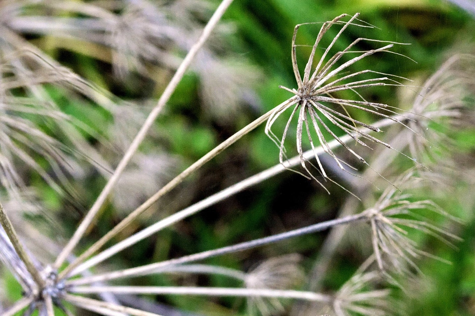 Beautiful ecology environment
