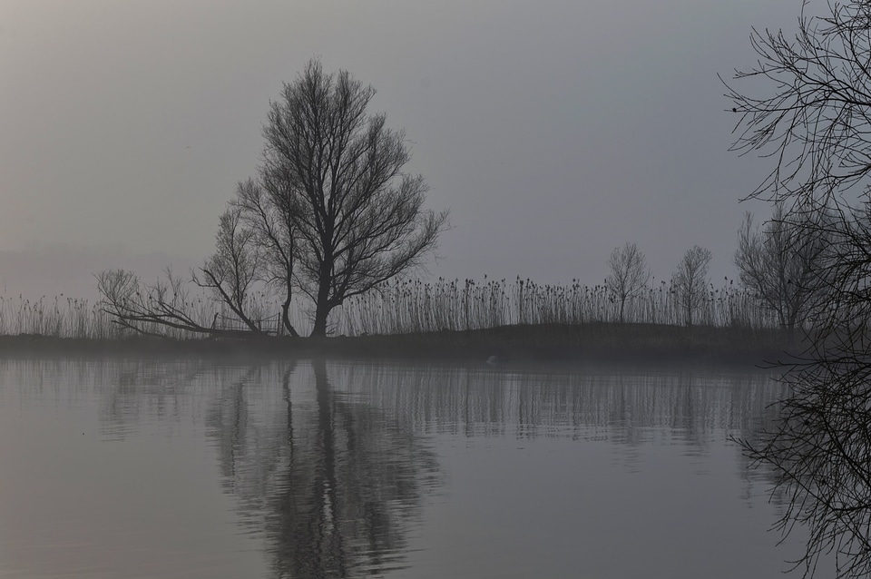 Cloud coast dawn photo