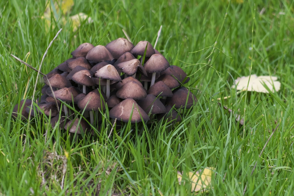 Ecology environment field