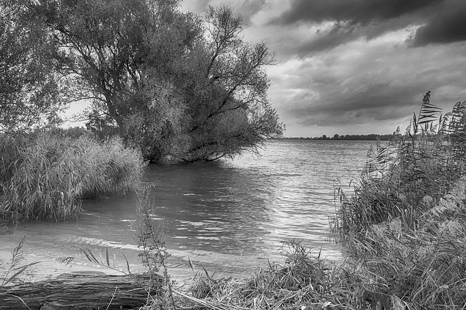 Bench black black and white