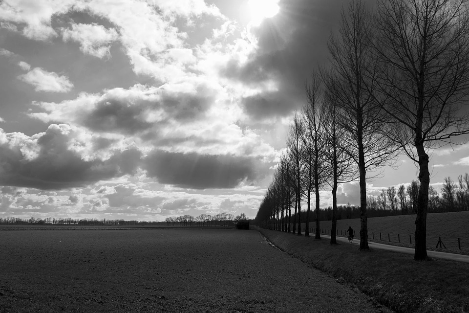 Atmosphere beach black
