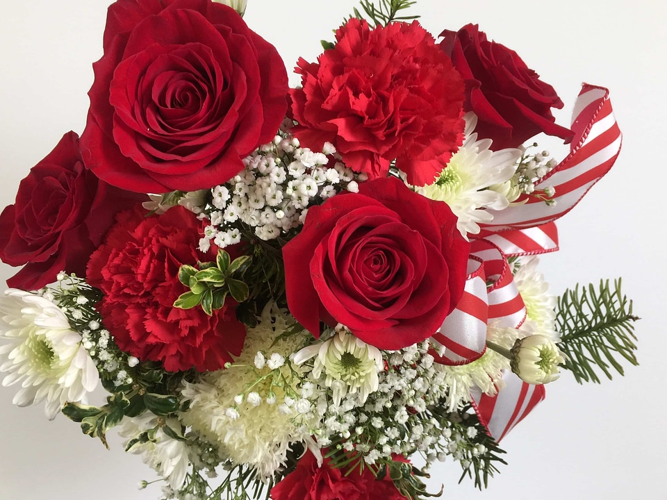 Arrangement beautiful flowers bloom