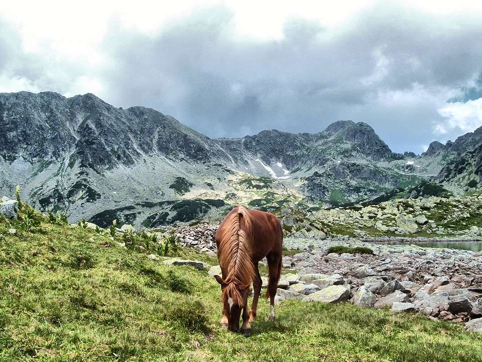 Retezat mountains transylvania