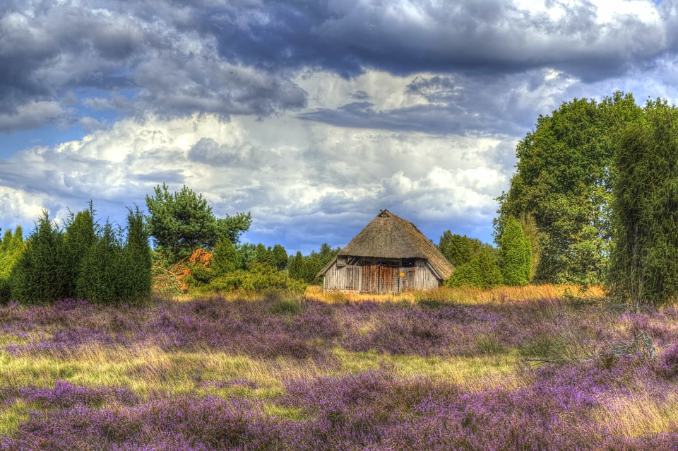 Agriculture barn beautiful photo