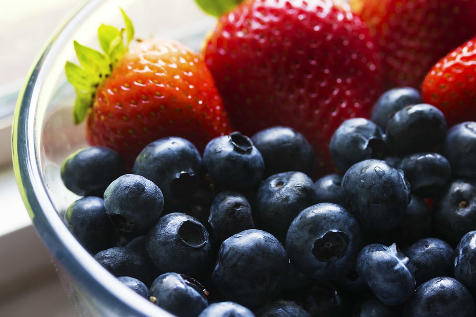 Beautiful Photo blueberry bowl