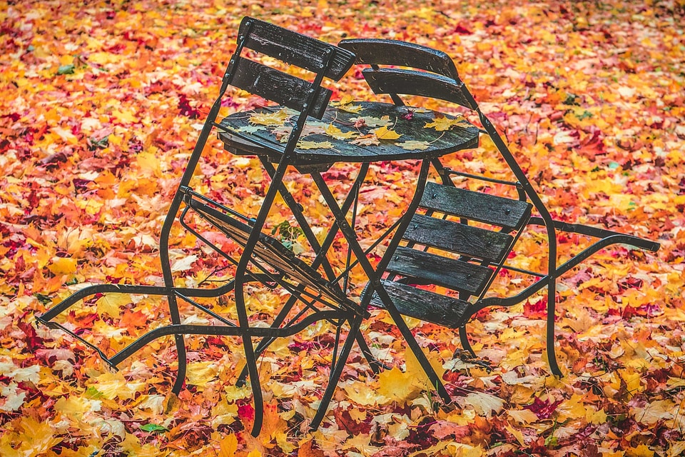 Autumn chain daylight