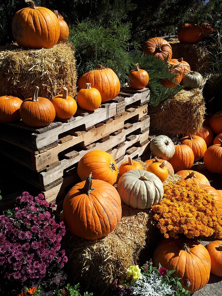 Seasonal harvest thanksgiving