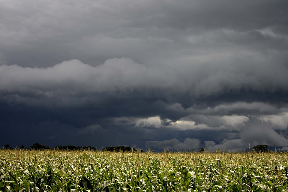 Agriculture atmosphere cereal