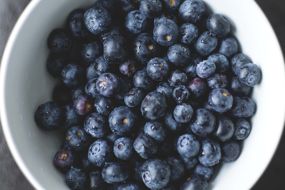Antioxidant berry blackberry