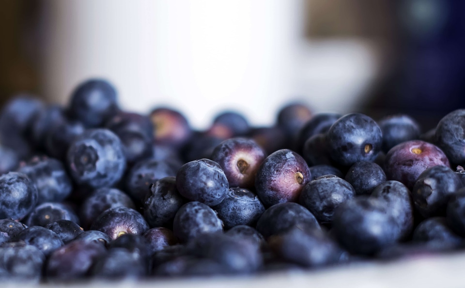 Antioxidant berry blackberry