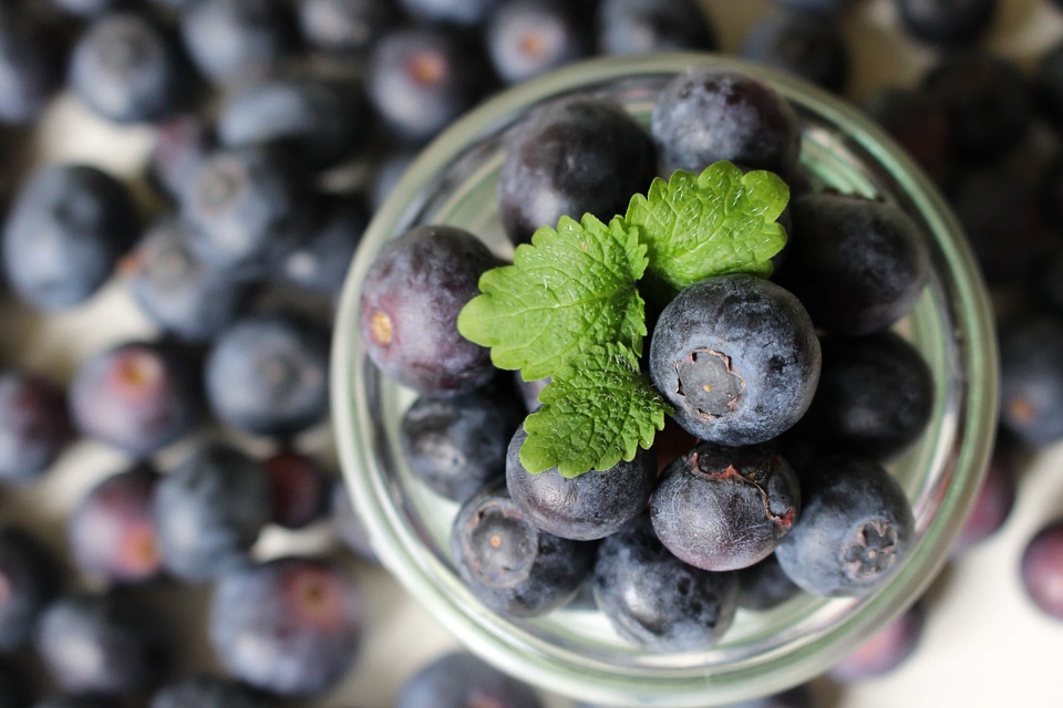 Antioxidant berry blue