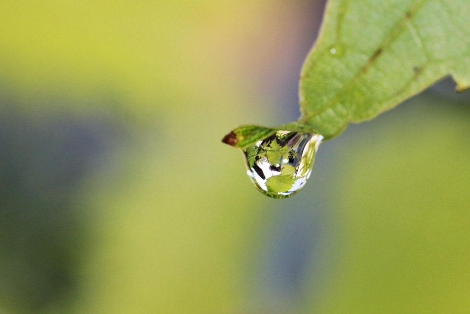 Beautiful Image beautiful photo biology