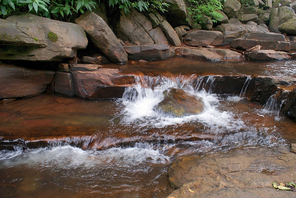 Brown creek daylight