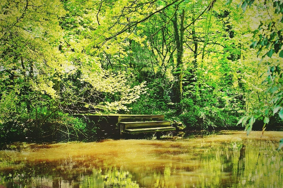 Autumn bench ecology